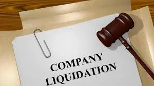 Meydan company liquidation